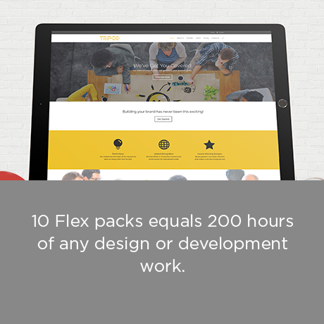 Flex 10