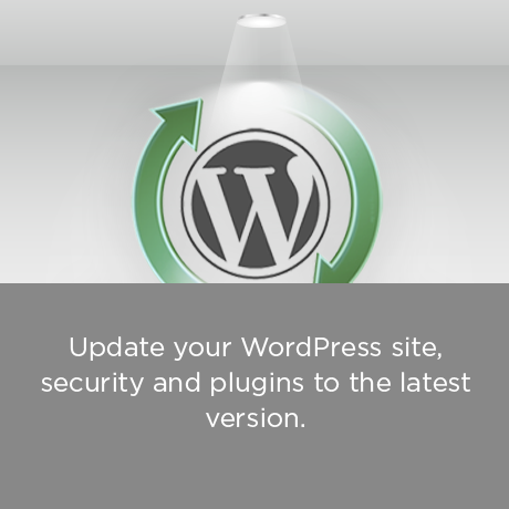 Wordpress Update