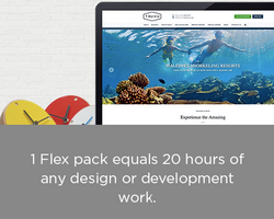 A flex pack label indicating 1 Flex Pack equals 20 Hours of any design or development work, displayed on a laptop screen showcasing a design interface.