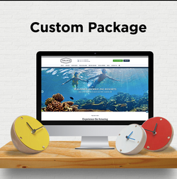 Bayard - School Site Shopify Updates