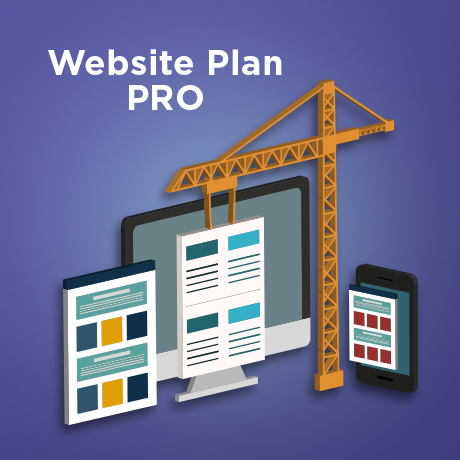 Website Plan PRO