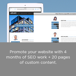 SEO Pro